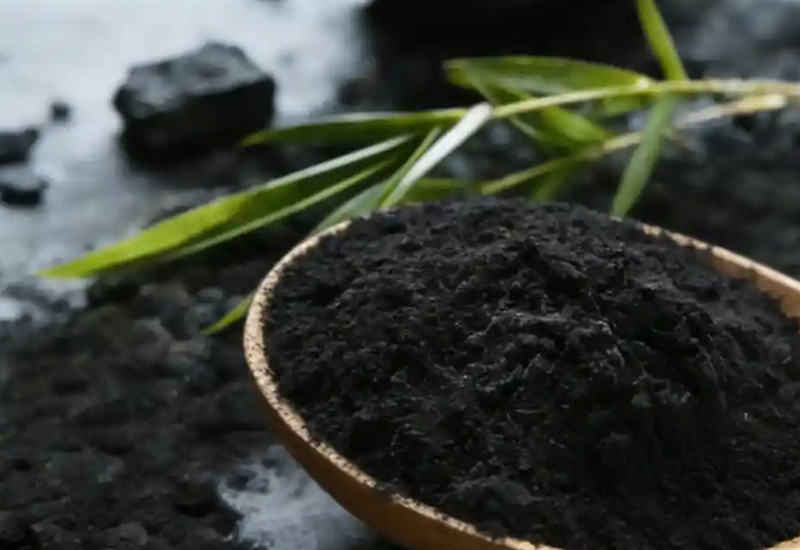 Wood Based Carbon Powder